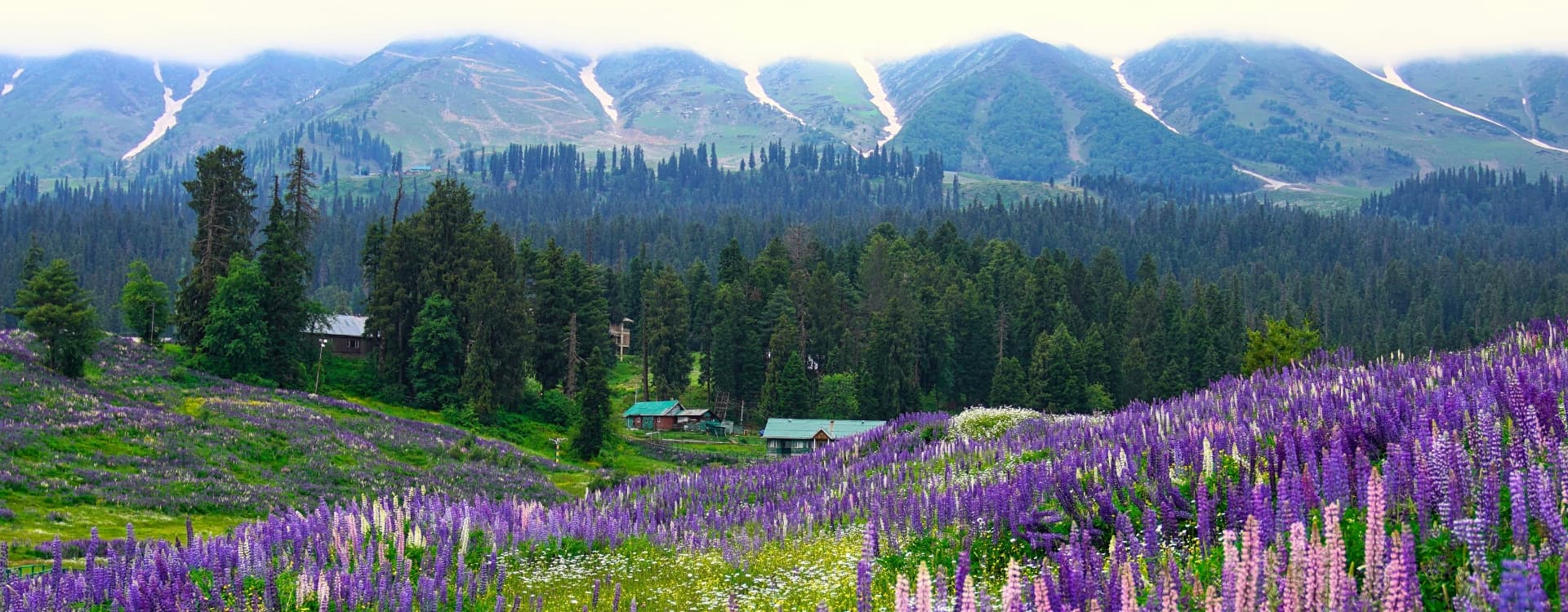 Gulmarga, kashmir, India