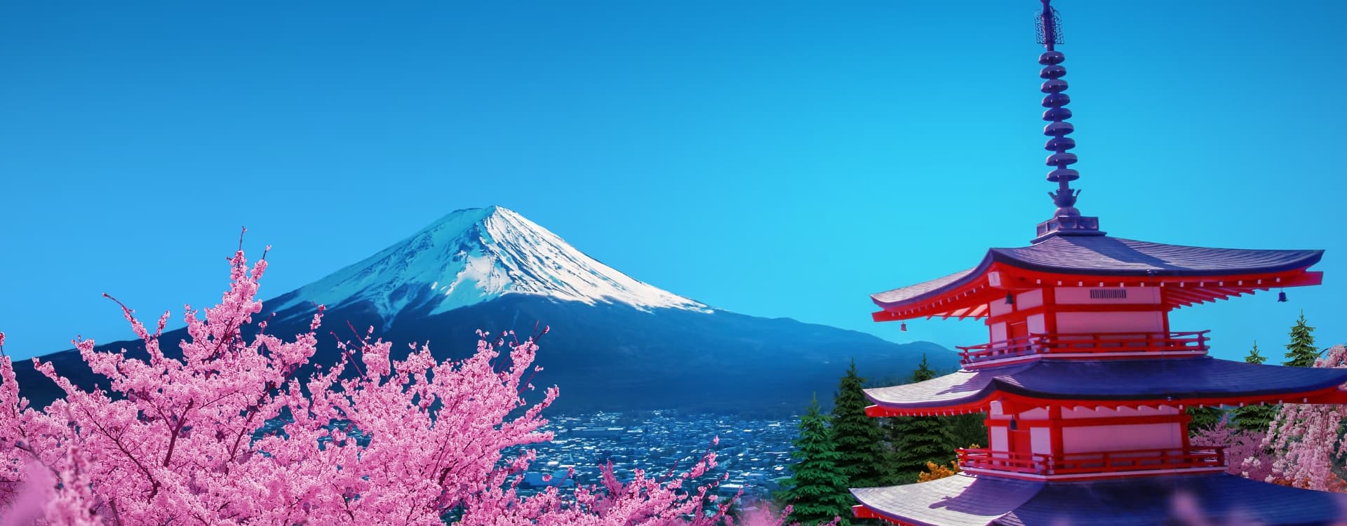 Aerial view of Japan Mt. Fuji