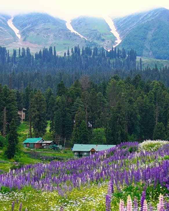 Gulmarga, kashmir, India