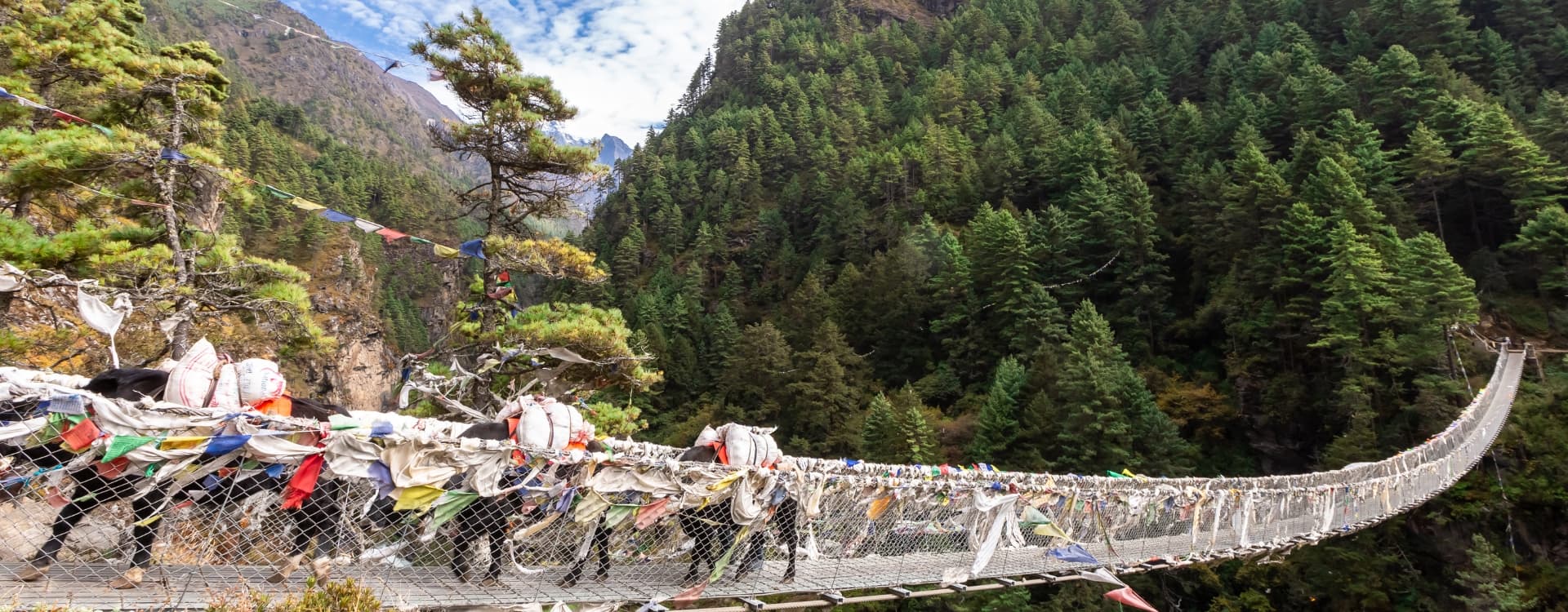 Trekking Everest Base Camp Trek Nepal