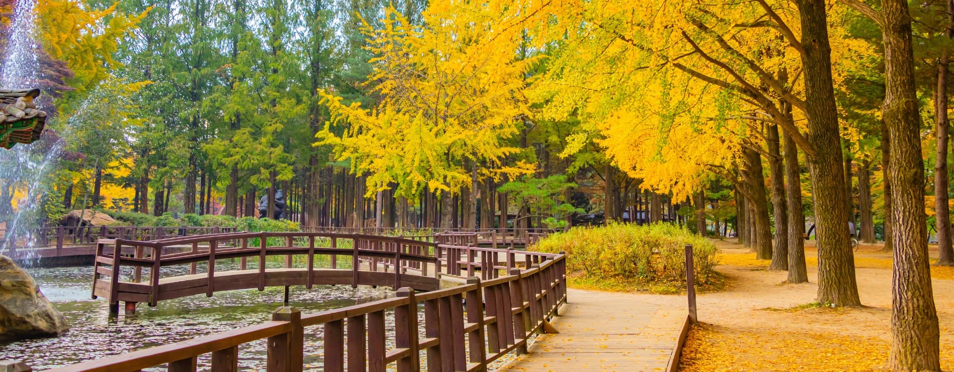 Autumn in Nami Island, South Korea