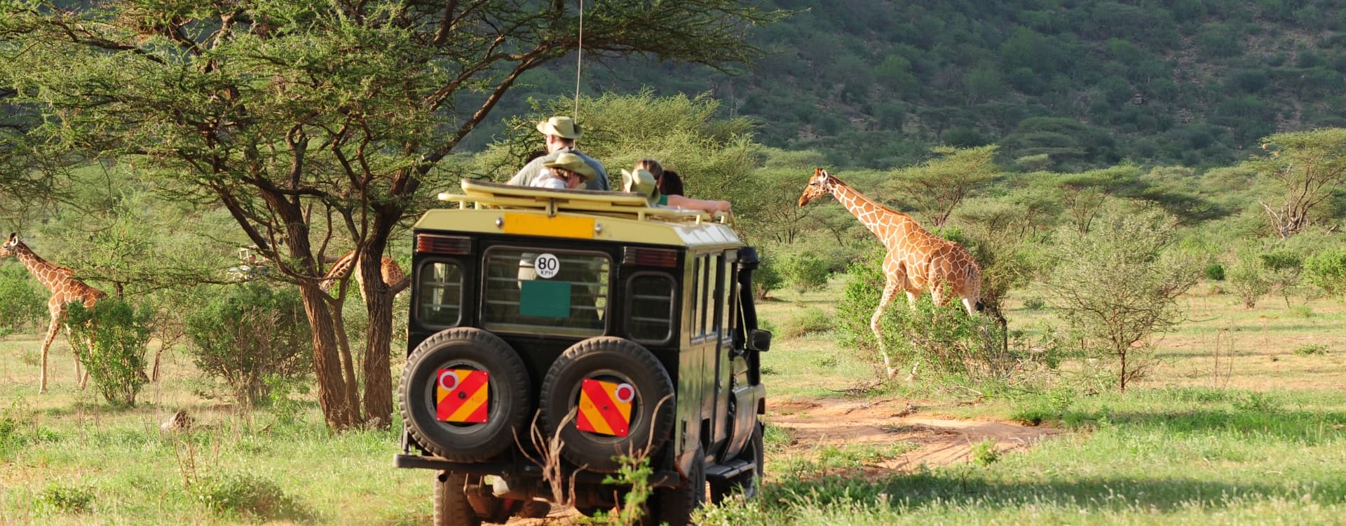 Wild Life Adventure Safari In Kenya