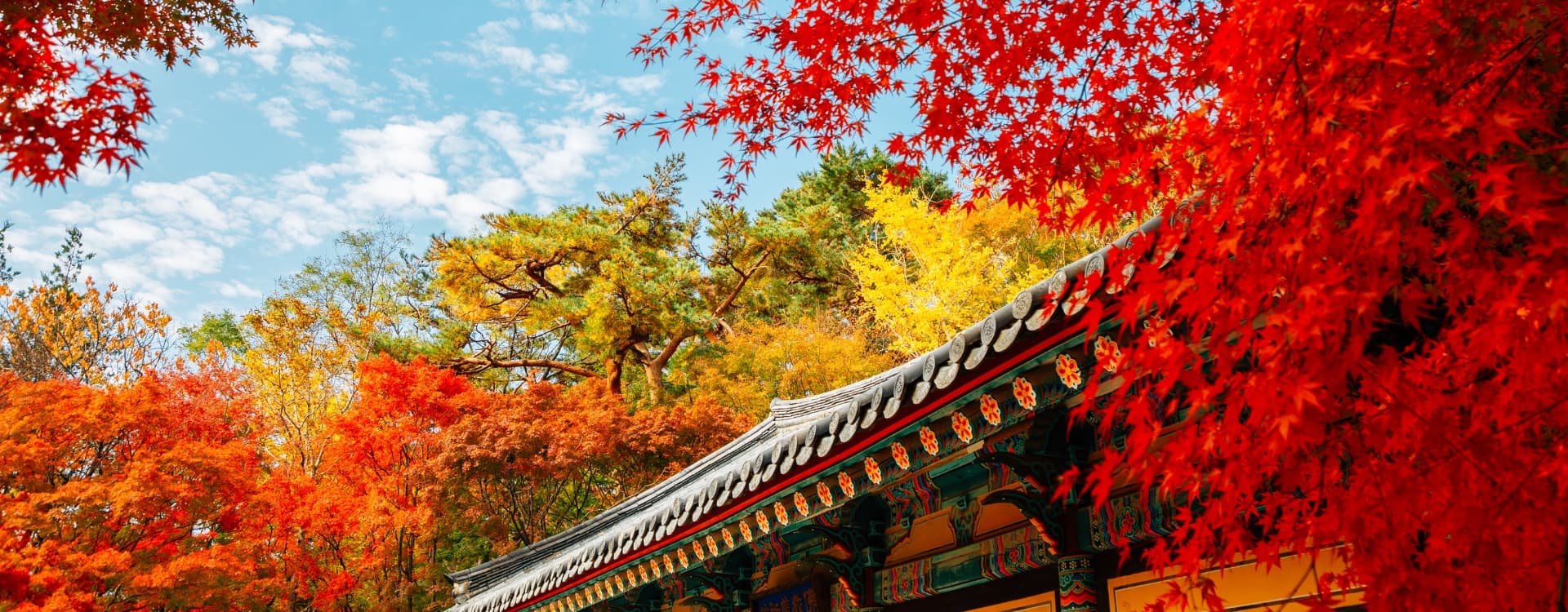 Bulguksa Temple with Autumn Leaves in Gyeongju, South Korea