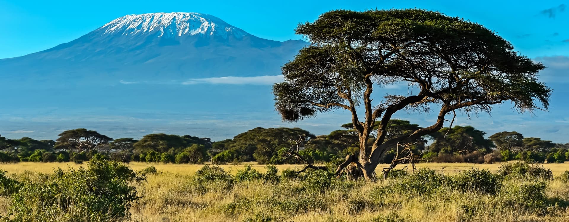 Mount View In Savanna Kenya