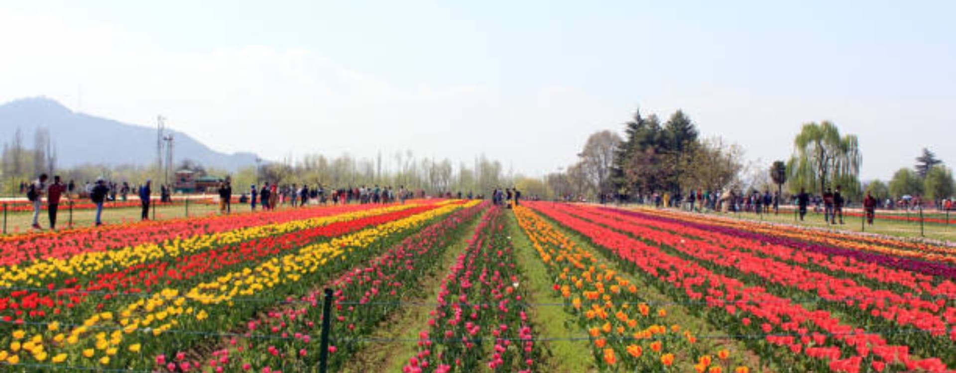 Beautiful Garden View In Kashmir