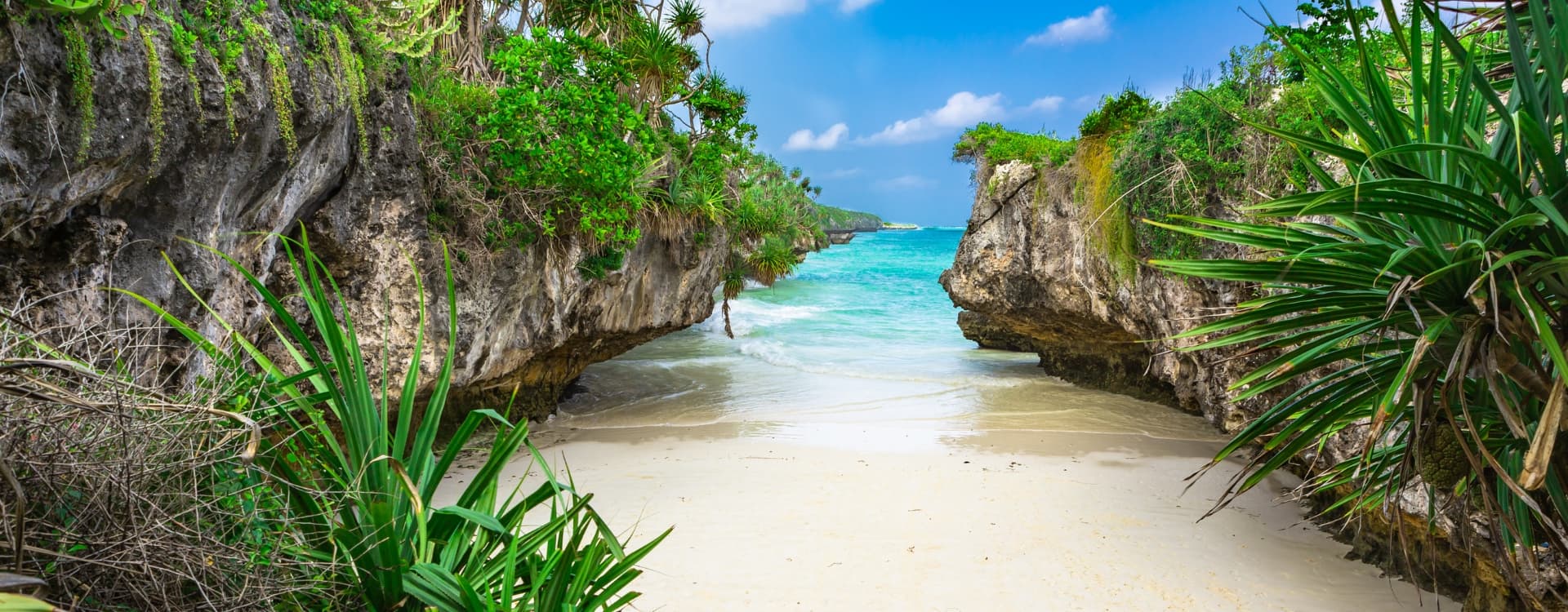 Beach View In Zanzibar Tanzania