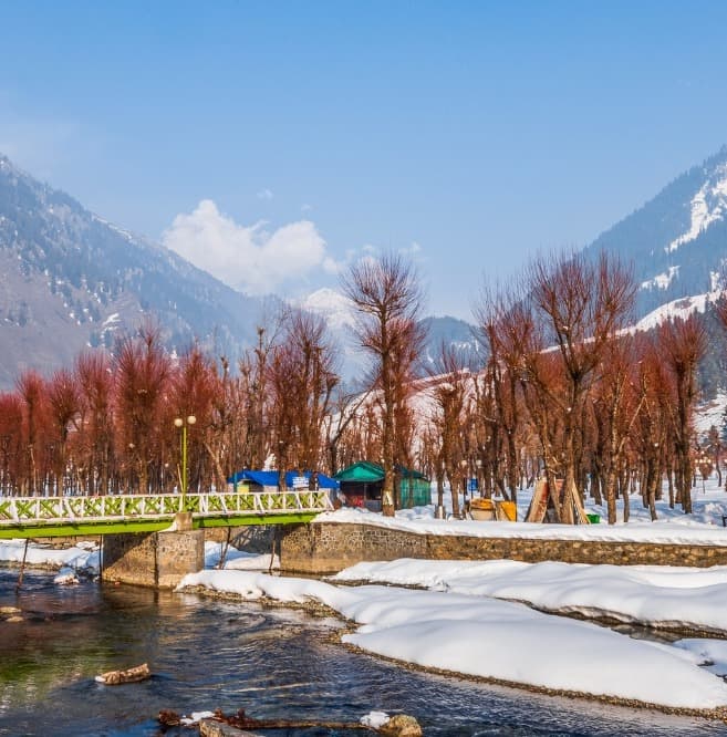 Glimpse of India Tour