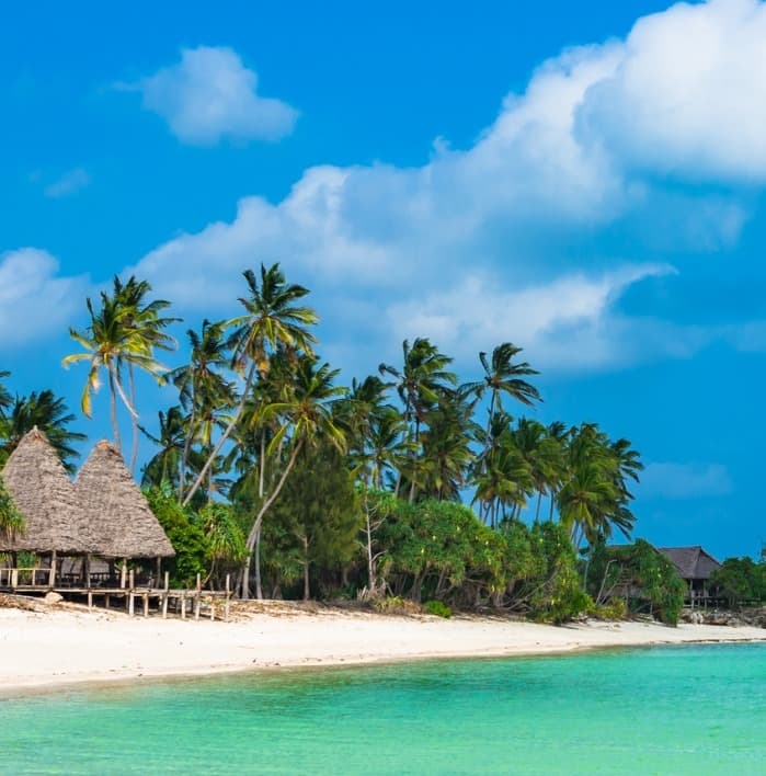 Glimpse of Tanzania Tour